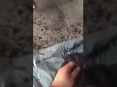 فيديو العمل من حبيبات الأسمدة الكرة