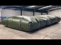 المثانة الزيتية