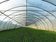 الهيكل الصلب الخفيف الجاهز للدفيئة الزراعية النباتية Q235 ISO9001