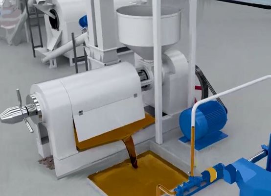 XDEM النبتة النخيل قشرة قشرة طحن مطبخ الزيت آلة أوتوماتيكية النخيل كراكينغ ونظام الفصل