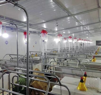 Corrosion Resistant Powder Coated Livestock Equipment with Rounded Edges for Safe Farm Tools