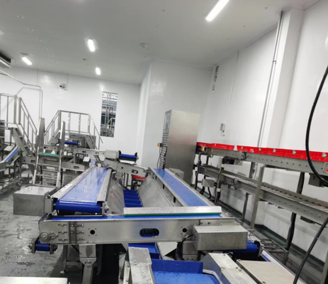 معدات الذبح من الفولاذ المقاوم للصدأ مع التحكم في PLC ومعيار GB لمعالجة اللحوم بكفاءة