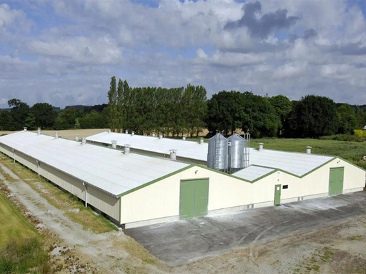 XDEM Steel Structure Warehouse Production Workshop مزرعة الدجاج والدواجن